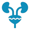 Urology